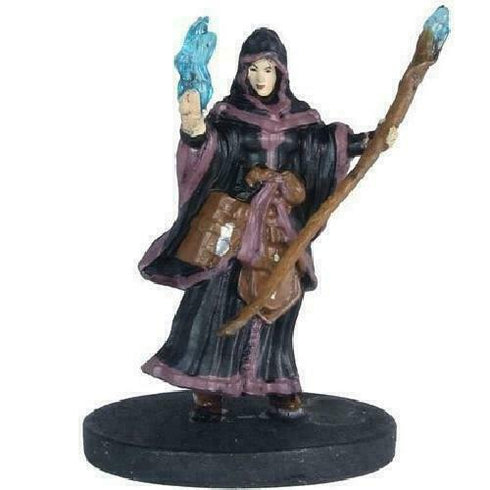 Human Wizard - Monster Menagerie II - 21/44